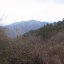 회귀-모정 이미지