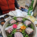 제주 서귀포 쌍둥이 횟집 (저녁 찐!!! 내돈내산 후기!!!)