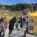 72 | [공지] 서산 유기방가옥 / 충남여행 수선화축제 다녀온 후기