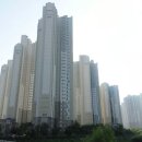 판교원공인중개사사무소 이미지