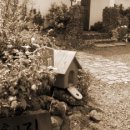 섬집오후 이미지