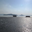 회천생태공원 이미지