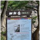 솔향기환경 이미지