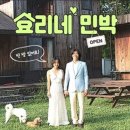 지니민박 이미지