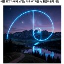 목단꽃이 비단에 새겨지면 이미지