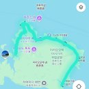 신기한 동식물여행 2 | 이리오모테 렌터카 당일치기 여행 코스와 후기