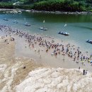 하동재첩 섬진강 이미지