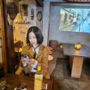 그린종묘농약사 | 잠깐의 홍콩일상/ 한국가기 참 힘들지만 벚꽃은 너무이쁘다. 내생일 기념 을지로,종로 갑분 종묘 나들이