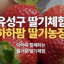 상석 농장 이미지