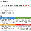 대홍초등학교 이미지