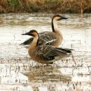 주남저수지 이미지