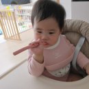 참짐(475) 이미지