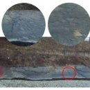 회화초등학교 이미지