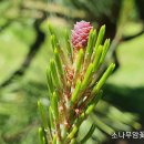 밤골어린이공원 이미지