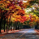 동화마을 생태공원 1 이미지