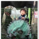 경산공룡박물관 이미지