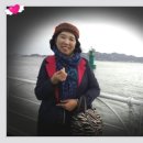 행복의섬 이미지