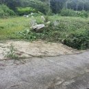 남해-246 이미지