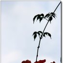 문정한정식 이미지