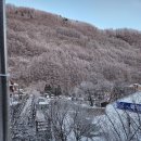 태백산 공원휴게소 이미지