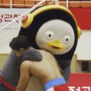 센스티브 이미지