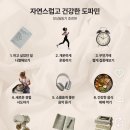 제주일상