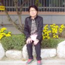 서울안산초등학교 이미지