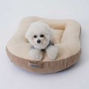 퍼피트리 이미지