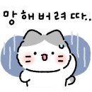 크린N크리닝 - 부여군 흥수로 807 | 크린N크리닝