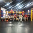 SG 복싱 GYM 이미지