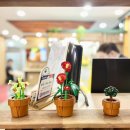 세븐일레븐 춘천효자로점 | 춘천 가족여행 레고랜드 근처 가성비호텔 더베네치아스위트 온돌룸