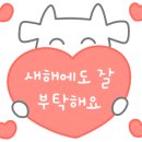 김철중공인중개사사무소 이미지