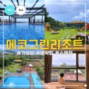 제주 에코그린 리조트 서쪽 협재 숙소 후기, 에코스위트 수영장 조식 예약팁