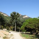 산들수목원 이미지
