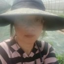 주식농장 이미지