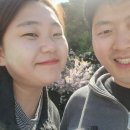 진복수산 이미지