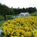 (주)효성글라스 이미지