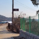 이성군묘 | [경기 고양] 대자동 왕실 묘역 답사(6) - 이성군 묘, 중종반정에 가담한 성종의 왕자