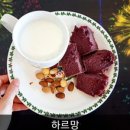 하르망 이미지
