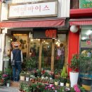 에델바이스 다육