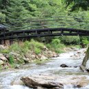 호명산 밸리 이미지