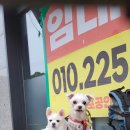 오포1동-4 이미지