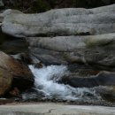 솔치농장 이미지