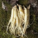 금산농장 이미지