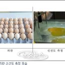 란김밥