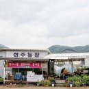현주농장 이미지