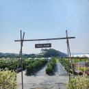 지석농장 이미지