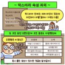 이모넷 | What I liked_2024.zip🛍️ - 막스마라 마누엘라, 미우미우 카드지갑, S막스마라 에스투리아, 비비안...