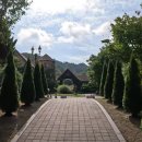 제이드팜 이미지