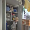 담원길 | 손품 발품 팔아 선택한 이사전문 현대익스프레스 후기